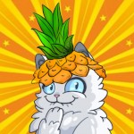 MeowDoctor