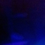 Bibitchducul