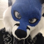 PhenexFox