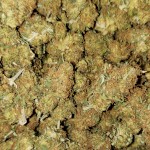 Bubbsstick