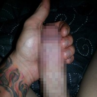SLB029