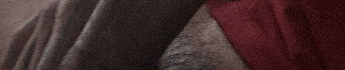 L Cinko