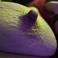 Bunnyblowbang