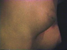 boobz gif