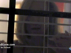 homo gif