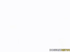 #bb #bbb gif