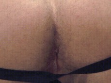 mark dylan's hole up close and personal gif