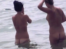 3 gif