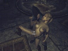 hroki gif