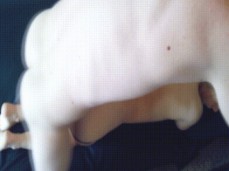 Mya lane amateur anal 2 gif
