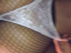 #bbc #fishnets gif