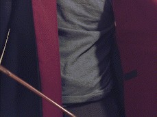 Wizinga gif