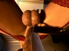 futa stocking gif