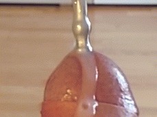 Cock sounding cum through gif