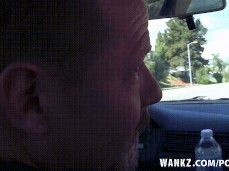 sheena shaw gif