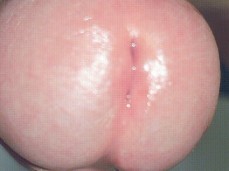 Close encounters of the hung kind 0038-1 3 1 big, hot knob gif