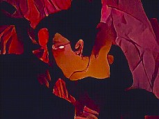 dimension next door (1) gif