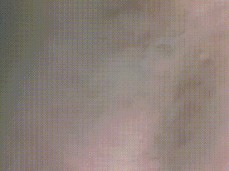 Amateur armpit flash gif