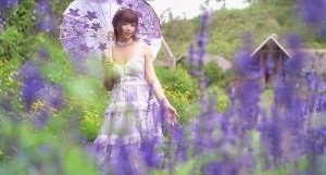 JasmineJ紫色花海的愛的。