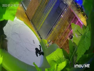 樂橙酒店精品緣葉房偷拍❤️~牛逼眼鏡女騷話連連一晚干四次我最喜歡哥哥操 就是這樣操~2