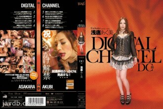 DIGITAL CHANNEL DC86 Akumi Asara