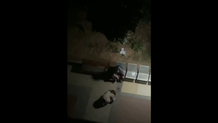 偷情女子跪求男子原諒