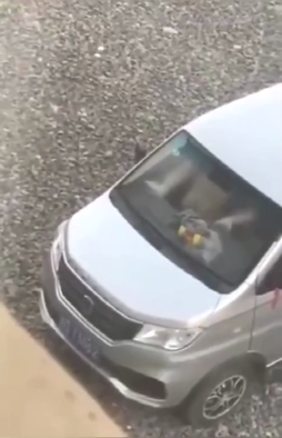 @20205145185 用戶上傳：光天化日搞車震以為人家看不到