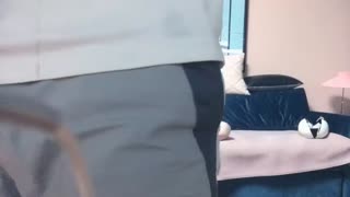 太子探花極品第二場顏值不錯妹子，舌吻逼摸後入抽插上位騎乘猛操