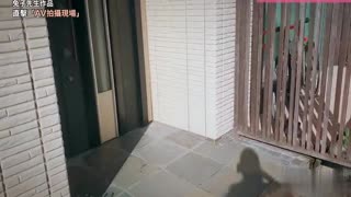 兔子先生 《直擊日本AV現場》第一季~近距離接觸女優的敬業生活!!