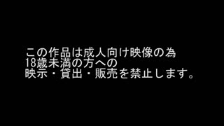 公主守城失敗被騎士亂搞【3D】