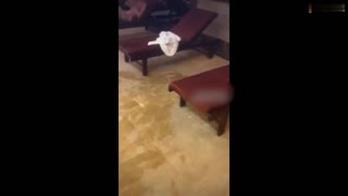 度假村搭訕長腿女神啪啪啪