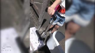 侄っ子と蔵の中