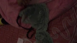 最新泄露門交流分享《客戶修電腦泄露美女大尺度日常撩騷圖片 視頻完整檔案》揭露良家素人日常不為人知的一面