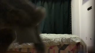 公子哥 夜店撩妹撩到性感模特!!絲襪撕爆捅的她淫蕩嬌喘~「不要~親愛的快乾我~」