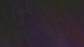 白鷺全2