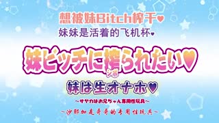 妹妹是哥哥專用玩具