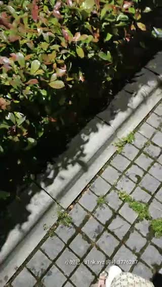 小性感04-11直播實錄