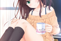 お兄ちゃん、朝までずっとギュッてして！ 女未そら編