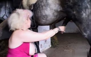 「成熟的妻子與巨大的山雀，瘋狂玩弄她的馬