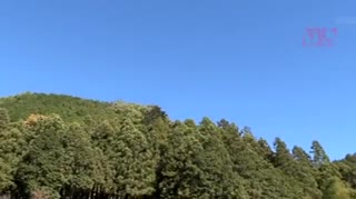 [RBD-693] 狐狸娶妻讓她生儀式 陌生肉棒干翻之夜 川上優