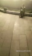 售樓小姐姐在公園戶外啪啪