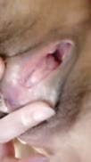 甜美少婦約炮眼鏡胖男