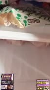 既豐滿又漂亮美女才藝主播 一字馬看粉穴 洗澡誘惑 奶子好大小穴也粉