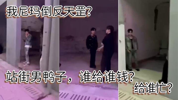 我尼瑪倒反天罡？站街男鴨子，誰給誰錢？給誰忙 ？