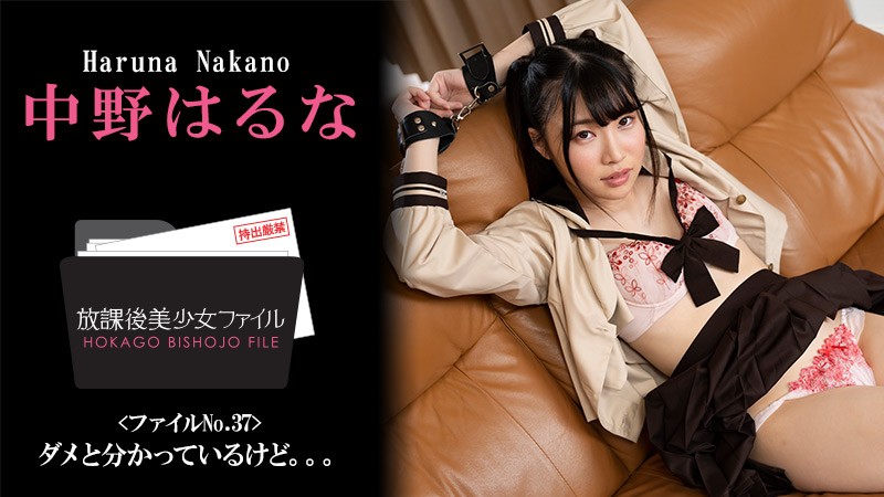 HEYZO+3044+After School Beautiful Girl Files+Nr. 37~Ich weiß, ich habe mich geirrt. . ~+–+Nakano Haruna