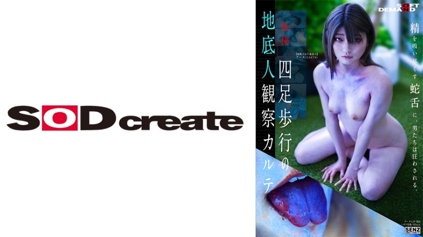 107SENN-048 Observation Chart of a Quadrupedal Underground Person Haruno Ando