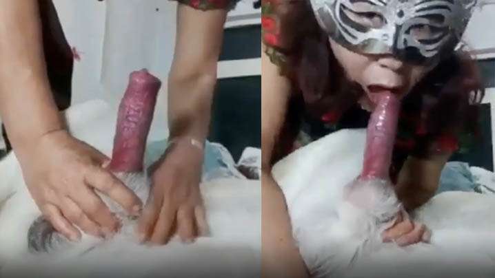 【國產人獸】老女人 是「愛狗人士」 看到大雞巴受不了