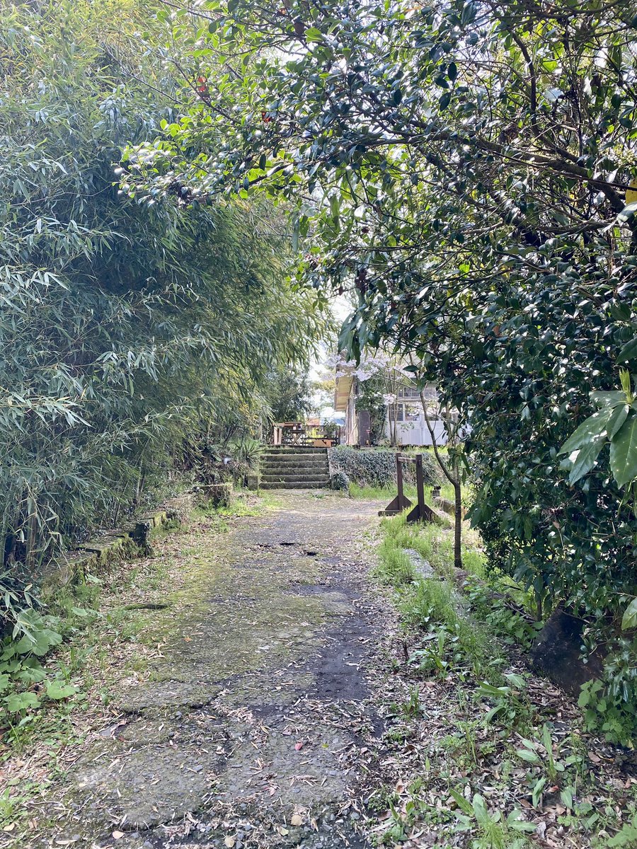 小川桃果