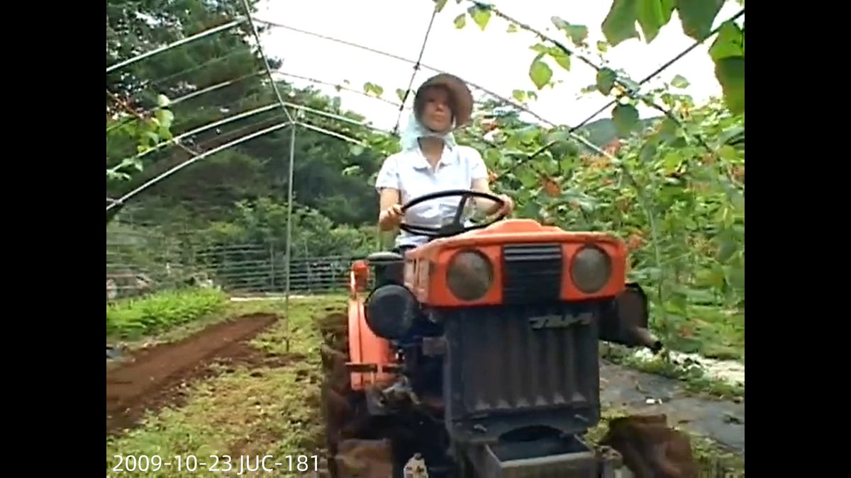 水元惠梨香