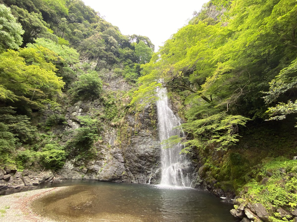 长谷川留衣